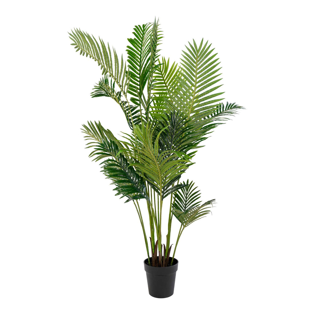 Thomas - Areca Palm - Kunstmatig - PE Plastic en Polyester - 175 cm