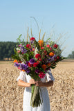 Bouquet Ball Mum Plastic Fuchsia