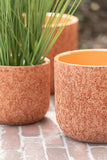 Flowerpot Rough Ceramic Terracotta Medium