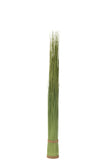 Grasses Bundle Plastic Green Medium