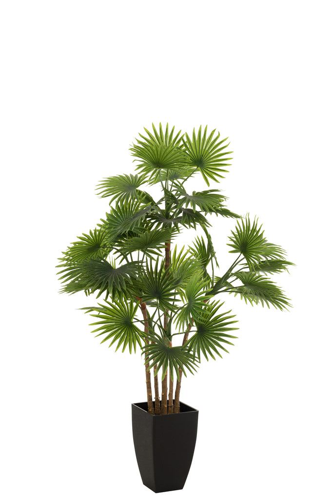 Palm Tree Fan In Pot Plastic Green