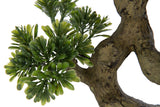 Podocarpus Bonsai Artificial Green Small