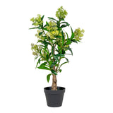 Meijer - kunstplant - groen - PE plastic - 75 cm